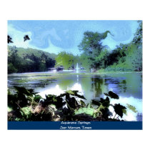 Aquarena Springs posters by creepshow Aquarena Springs posters