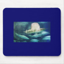 aquarium1 mousepads