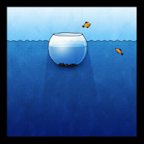 Aquarium2