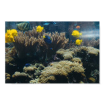 Aquarium - 2 - print by Horseshoes3 Aquarium - 2 - print