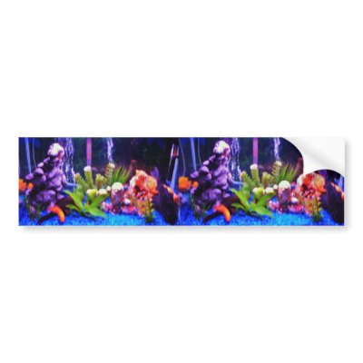 AQUARIUM bumper sticker by JoAnnHayden