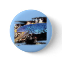Aquarium Collection by FishTs.com buttons