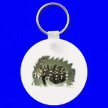 Aquarium Collection by FishTs.com
