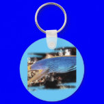 Aquarium Collection by FishTs.com