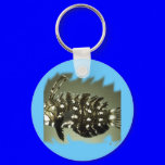 Aquarium Collection by FishTs.com