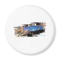 Aquarium Collection by FishTs.com Refrigerator Magnets