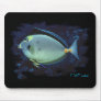 Aquarium Collection by FishTs.com Mouse Mats
