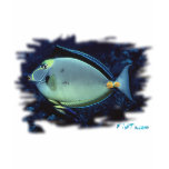 Aquarium Collection by FishTs.com
