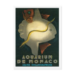 Aquarium De Monaco Musee Oceanographique Art Postcards