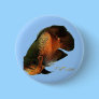 Aquarium Fish Collection by FishTs.com Pin