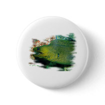 Aquarium Fish Collection by FishTs.com buttons