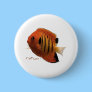 Aquarium Fish Collection by FishTs.com Pinback Buttons