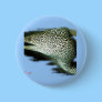 Aquarium Fish Collection by FishTs.com Pinback Button