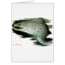 Aquarium Fish Collection by FishTs.com Greeting Cards