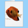 Aquarium Fish Collection by FishTs.com Cards