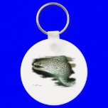 Aquarium Fish Collection by FishTs.com