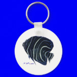 Aquarium Fish Collection by FishTs.com