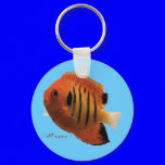 Aquarium Fish Collection by FishTs.com