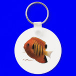 Aquarium Fish Collection by FishTs.com