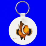 Aquarium Fish Collection by FishTs.com
