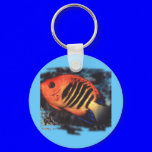 Aquarium Fish Collection by FishTs.com