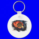 Aquarium Fish Collection by FishTs.com