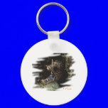 Aquarium Fish Collection by FishTs.com