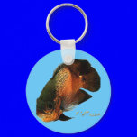 Aquarium Fish Collection by FishTs.com
