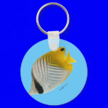 Aquarium Fish Collection by FishTs.com