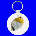 Aquarium Fish Collection by FishTs.com