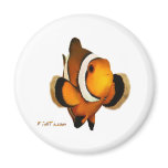 Aquarium Fish Collection by FishTs.com