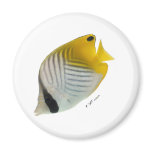 Aquarium Fish Collection by FishTs.com