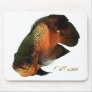 Aquarium Fish Collection by FishTs.com Mouse Pads