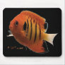 Aquarium Fish Collection by FishTs.com Mouse Mat