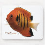 Aquarium Fish Collection by FishTs.com Mouse Pads