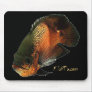 Aquarium Fish Collection by FishTs.com Mouse Mats