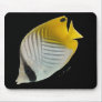 Aquarium Fish Collection by FishTs.com Mouse Pad