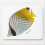 Aquarium Fish Collection by FishTs.com Mouse Mat