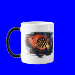 Aquarium Fish Collection by FishTs.com