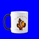 Aquarium Fish Collection by FishTs.com