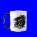 Aquarium Fish Collection by FishTs.com