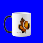 Aquarium Fish Collection by FishTs.com
