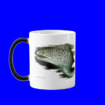 Aquarium Fish Collection by FishTs.com