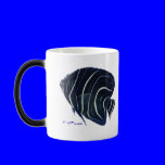 Aquarium Fish Collection by FishTs.com