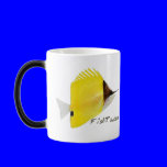 Aquarium Fish Collection by FishTs.com