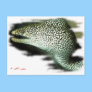 Aquarium Fish Collection by FishTs.com Post Card