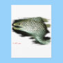Aquarium Fish Collection by FishTs.com Postcard