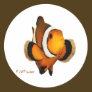 Aquarium Fish Collection by FishTs.com