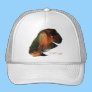 Aquarium Fish Collection by FishTs.com Trucker Hat