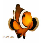Aquarium Fish Collection by FishTs.com